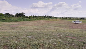 Image 02